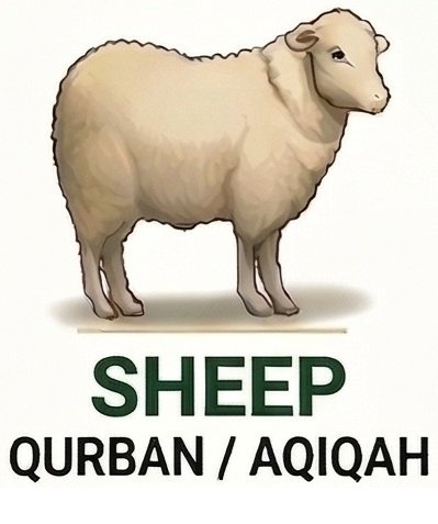 Sheep Standard