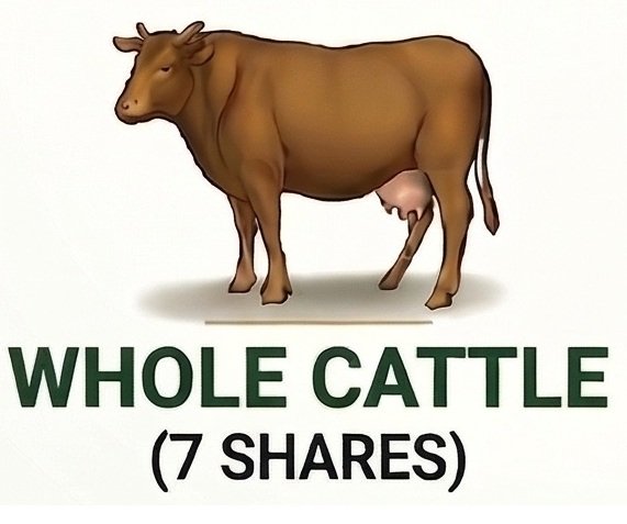 Cattle Share (1 Share)