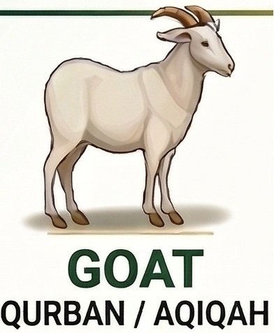 Goat Standard